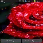 Neben Live Wallpapern für Android Ozeanwellen  kannst du die apk des Hintergrunds Tropfen und Rosen gratis herunterladen.