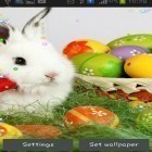 Neben Live Wallpapern für Android Schmetterlinge 3D kannst du die apk des Hintergrunds Osterhasen 2015 gratis herunterladen.