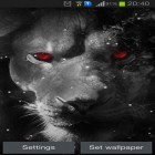 Neben Live Wallpapern für Android Rauchender Schädel kannst du die apk des Hintergrunds Löwenaugen gratis herunterladen.
