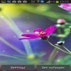 Neben Live Wallpapern für Android Tiger kannst du die apk des Hintergrunds Lustiger Regen gratis herunterladen.
