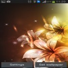 Neben Live Wallpapern für Android Rose: Sommermorgen kannst du die apk des Hintergrunds Leuchtende Blumen gratis herunterladen.