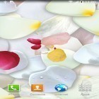 Neben Live Wallpapern für Android Blumen kannst du die apk des Hintergrunds Blütenblätter 3D gratis herunterladen.