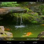 Neben Live Wallpapern für Android Garten und Blumen  kannst du die apk des Hintergrunds Weiher mit Koi gratis herunterladen.
