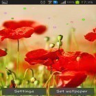 Neben Live Wallpapern für Android Frühling: 8 März. Grüße kannst du die apk des Hintergrunds Mohnblumenfeld gratis herunterladen.