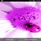 Neben Live Wallpapern für Android Eingeschneite Nachtuhr kannst du die apk des Hintergrunds Schön Pink gratis herunterladen.