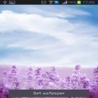 Neben Live Wallpapern für Android Winternacht kannst du die apk des Hintergrunds Lila Lavendel gratis herunterladen.
