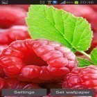 Neben Live Wallpapern für Android Blumen kannst du die apk des Hintergrunds Himbeeren gratis herunterladen.