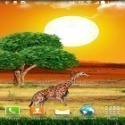 Neben Live Wallpapern für Android Perfekter Sonnenuntergang kannst du die apk des Hintergrunds Safari gratis herunterladen.