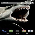 Neben Live Wallpapern für Android Glühwürmchen: Dschungel kannst du die apk des Hintergrunds Hai 3D gratis herunterladen.