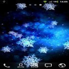 Neben Live Wallpapern für Android Lebende Natur: Frühlingsblumen 3D kannst du die apk des Hintergrunds Schneeflocken gratis herunterladen.