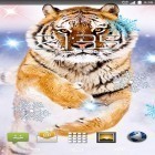 Neben Live Wallpapern für Android  kannst du die apk des Hintergrunds Schnee Tiger gratis herunterladen.