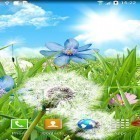 Neben Live Wallpapern für Android Allah: Wasser-Kräuseln kannst du die apk des Hintergrunds Sommerblumen gratis herunterladen.