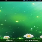 Neben Live Wallpapern für Android Makro Photos kannst du die apk des Hintergrunds Sommerblumen gratis herunterladen.