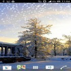 Neben Live Wallpapern für Android  kannst du die apk des Hintergrunds Winter gratis herunterladen.