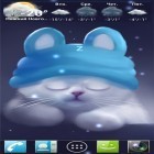 Neben Live Wallpapern für Android Halloween  kannst du die apk des Hintergrunds Yang die Katze gratis herunterladen.