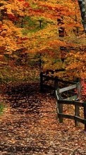 Lade kostenlos 128x160 Hintergrundbilder Landschaft,Bäume,Herbst für Handy oder Tablet herunter.