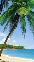 Lade kostenlos 1080x1920 Hintergrundbilder Landschaft,Sea,Strand,Palms,Sommer für Handy oder Tablet herunter.
